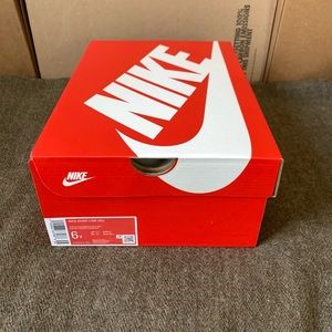 Nike Grade School Dunk Low Gs 'Pure Platinum Photo Blue' Sneakers